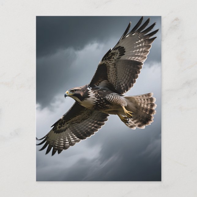Majestic Soaring Hawk Storm Clouds Postcard (Front)