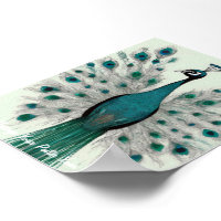 Majestic Splendour: The Boho Peacock