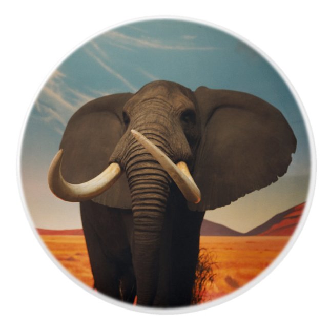 Majestic Stature Ceramic Knob (Front)