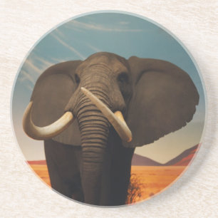 Majestic Stature Coaster