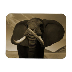 Majestic Stature Magnet