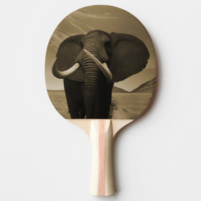 Majestic Stature Ping Pong Paddle (Front)