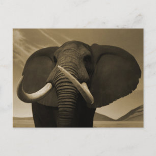 Majestic Stature Postcard