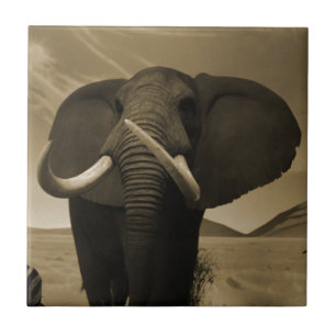 Majestic Stature Tile