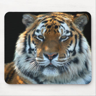 Majestic Sumatran Tiger Mouse Mat