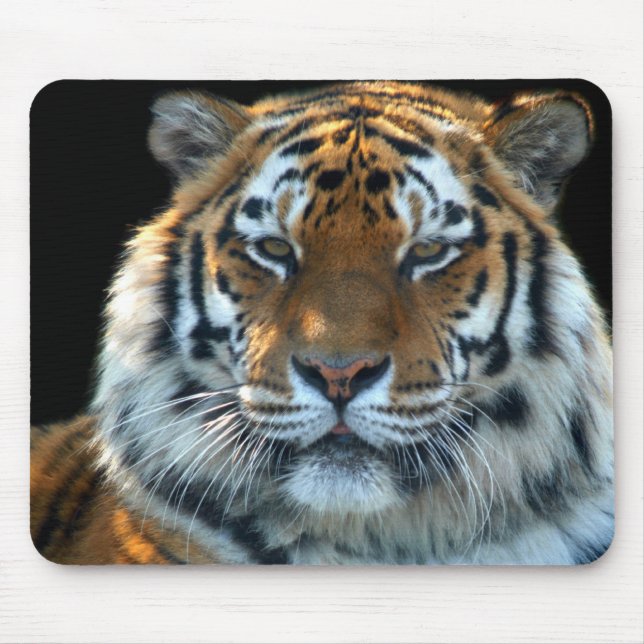 Majestic Sumatran Tiger Mouse Mat (Front)