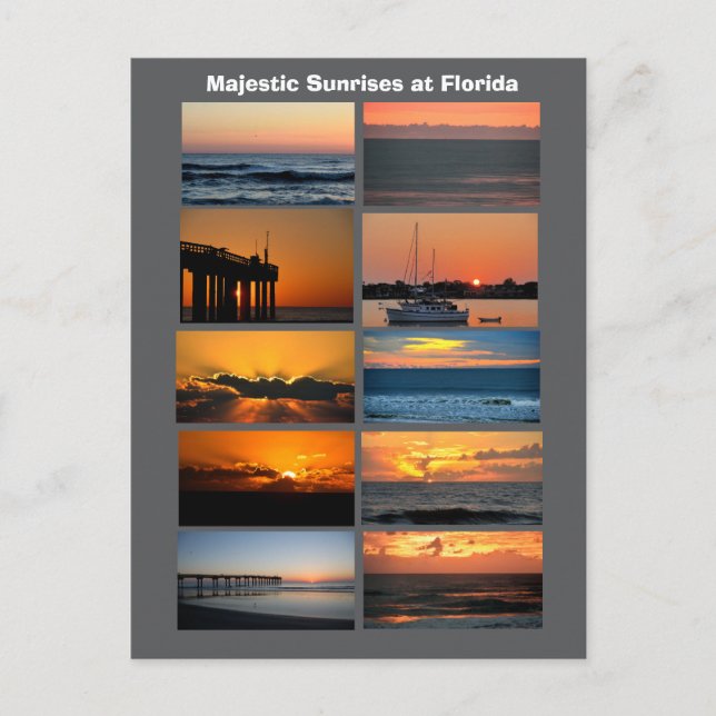 Majestic sunrises at Florida Postcard (Front)