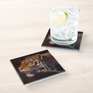 Majestic Tiger Glass Coaster