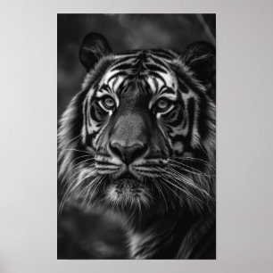 Majestic Tiger Portrait Fine Art Poster