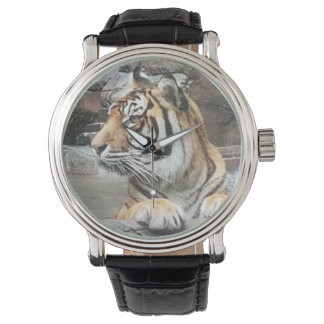 Majestic Tiger Watch