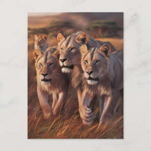 Majestic Trio Roaming Through Tall Grass Postcard