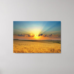 Majestic Wheat fields View Canvas Print