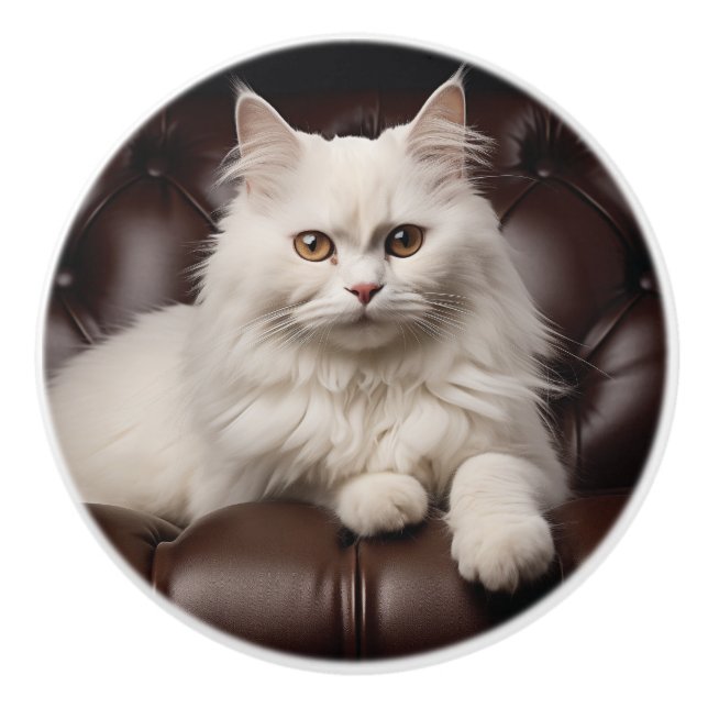 Majestic white cat ceramic knob (Front)