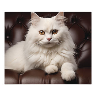 Majestic white cat photo print