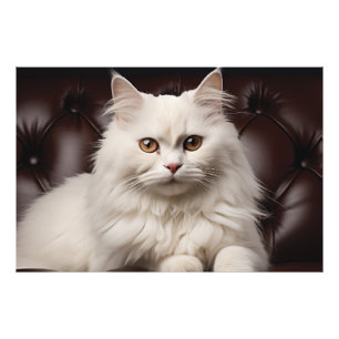 Majestic white cat photo print