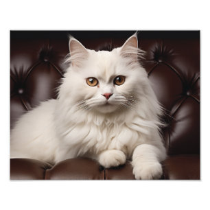 Majestic white cat photo print