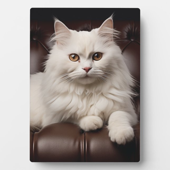 Majestic white cat plaque (Front)