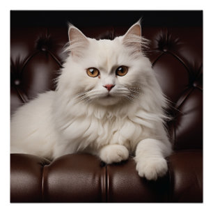 Majestic white cat poster