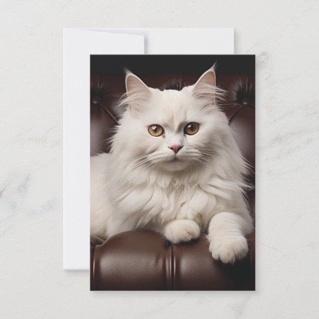Majestic white cat save the date (Front)