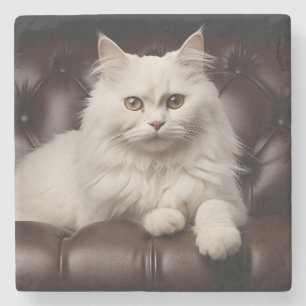 Majestic white cat stone coaster