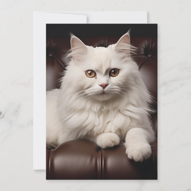 Majestic white cat thank you card (Front)