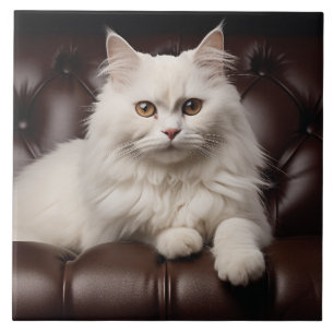 Majestic white cat tile