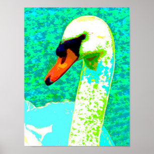 Majestic White Swan Head   Poster