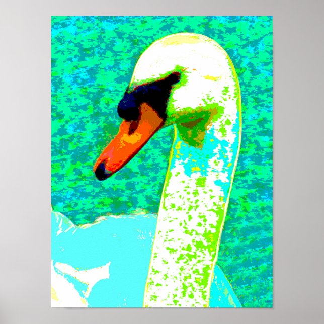 Majestic White Swan Head   Poster (Front)