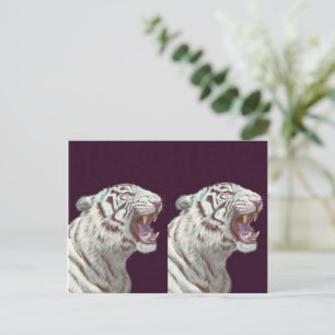 Majestic White Tiger – Postcard Design
