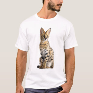 Majestic Wild African Serval Cat Illustration Men T-Shirt