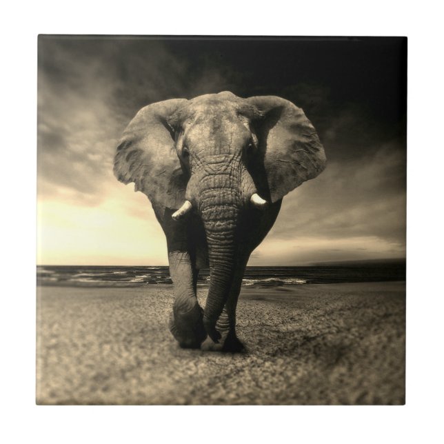 Majestic Wild Bull Elephant in Sepia Tile (Front)