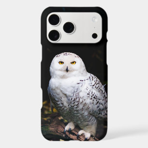 Majestic winter snowy owl