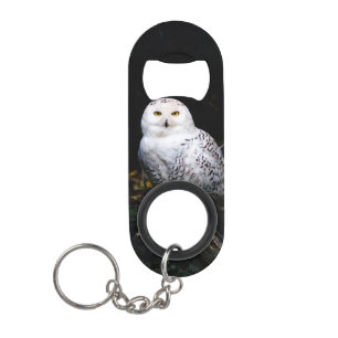 Majestic winter snowy owl