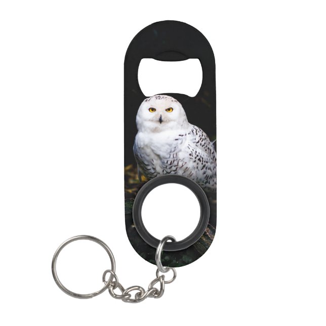 Majestic winter snowy owl (Front)