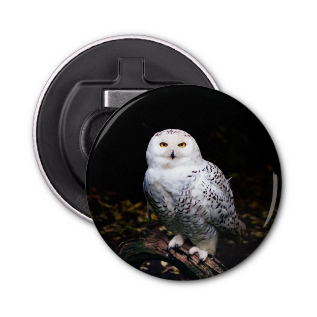 Majestic winter snowy owl bottle opener (Front)