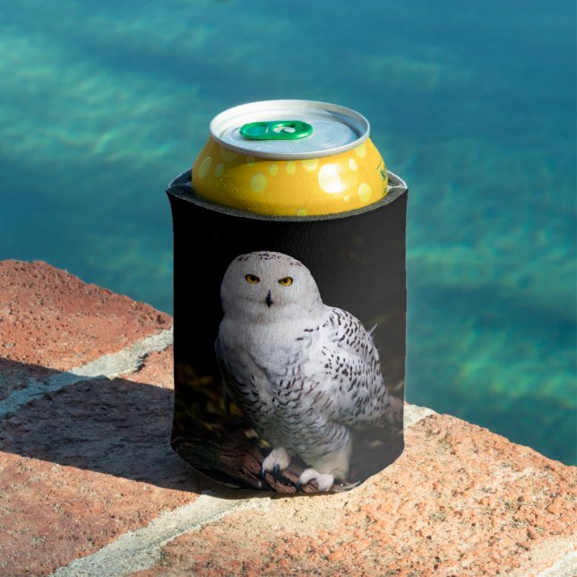 Majestic winter snowy owl can cooler (In Situ Pool)