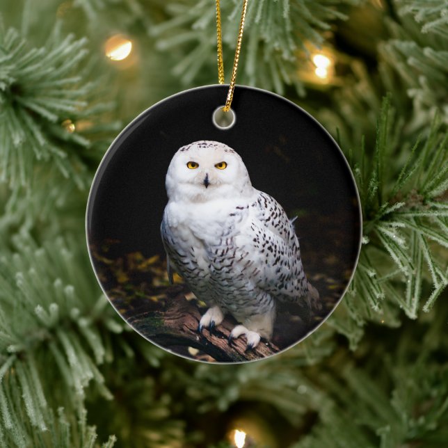 Majestic winter snowy owl ceramic tree decoration (Tree)