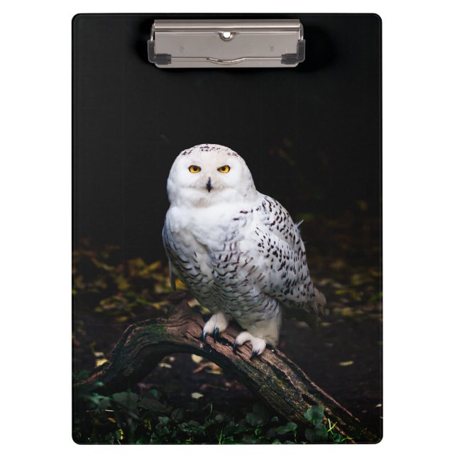 Majestic winter snowy owl clipboard (Front)