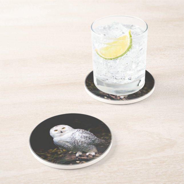 Majestic winter snowy owl coaster (Side)