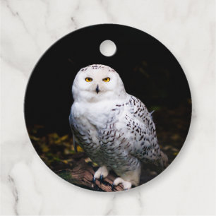 Majestic winter snowy owl favour tags