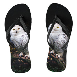Majestic winter snowy owl flip flops