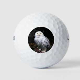 Majestic winter snowy owl golf balls