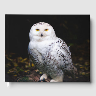 Majestic winter snowy owl guest book