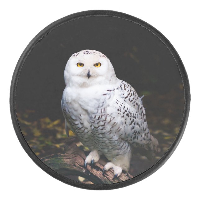 Majestic winter snowy owl hockey puck (Front)