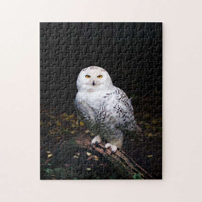 Majestic winter snowy owl jigsaw puzzle (Vertical)
