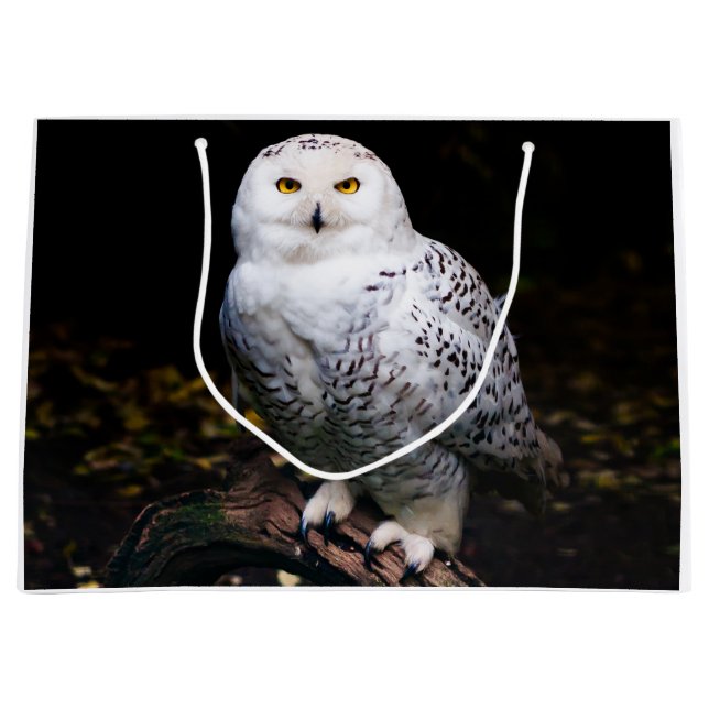 Majestic winter snowy owl large gift bag (Front)