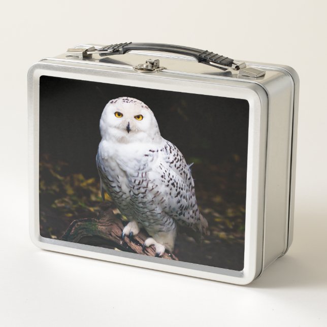 Majestic winter snowy owl metal lunch box (Front)