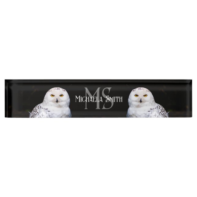 Majestic winter snowy owl monogram custom name nameplate (Front)