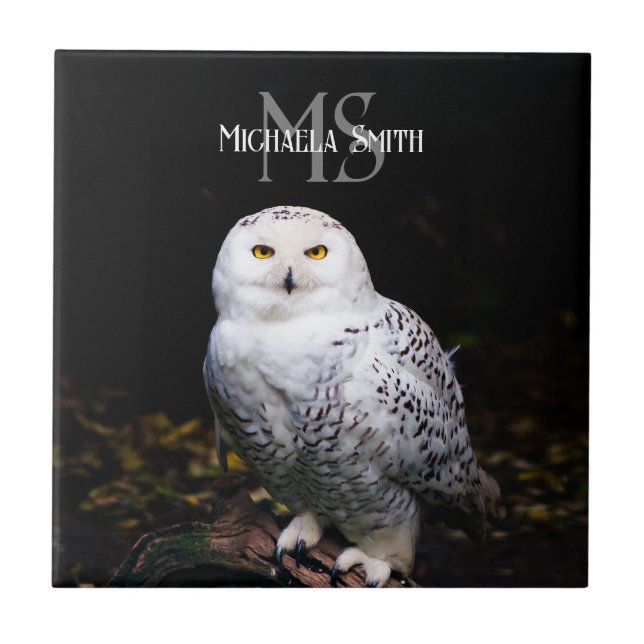 Majestic winter snowy owl monogram custom name tile (Front)