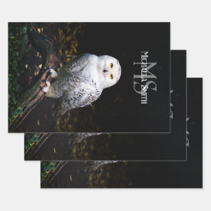 Majestic winter snowy owl monogram custom name wrapping paper sheet